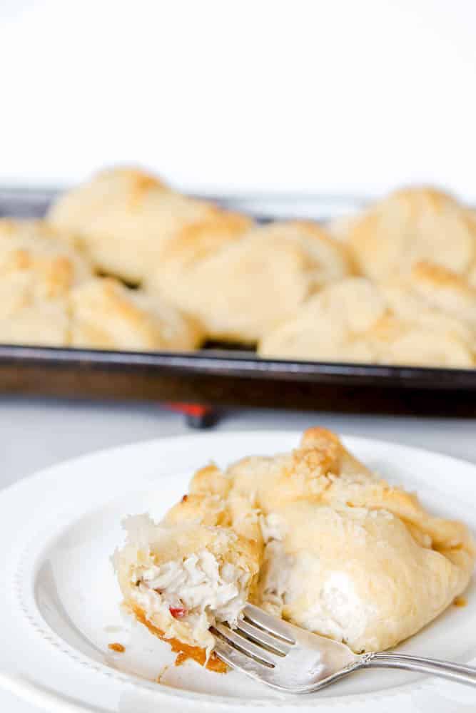 Chicken Crescent Roll Squares Recipe