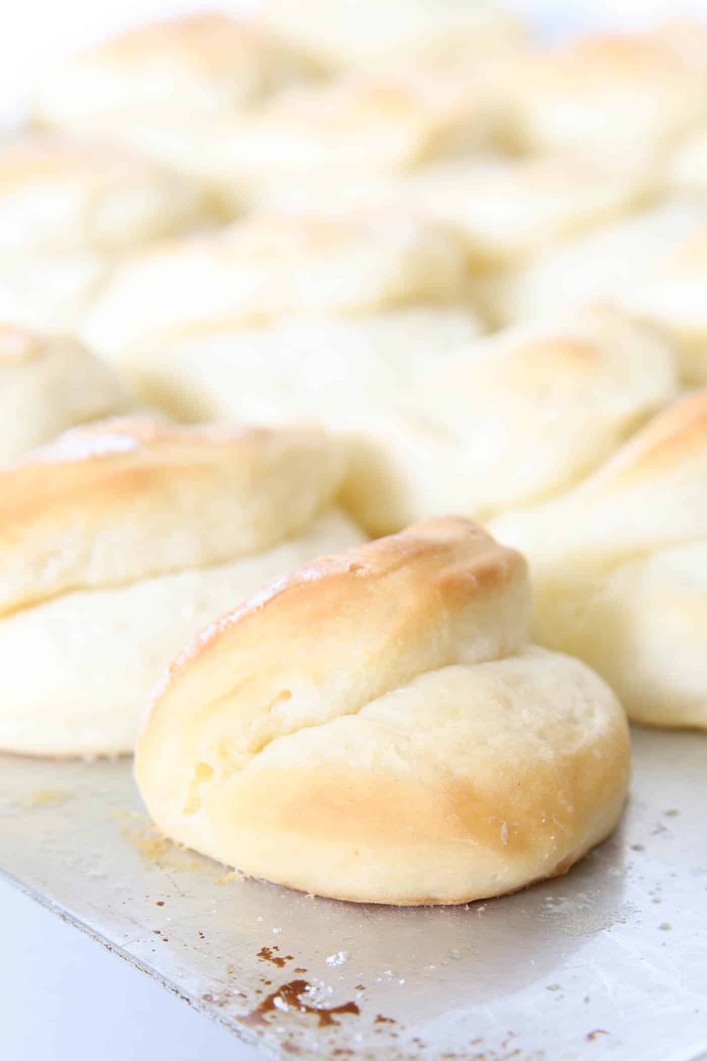 Homemade Parker House Yeast Rolls