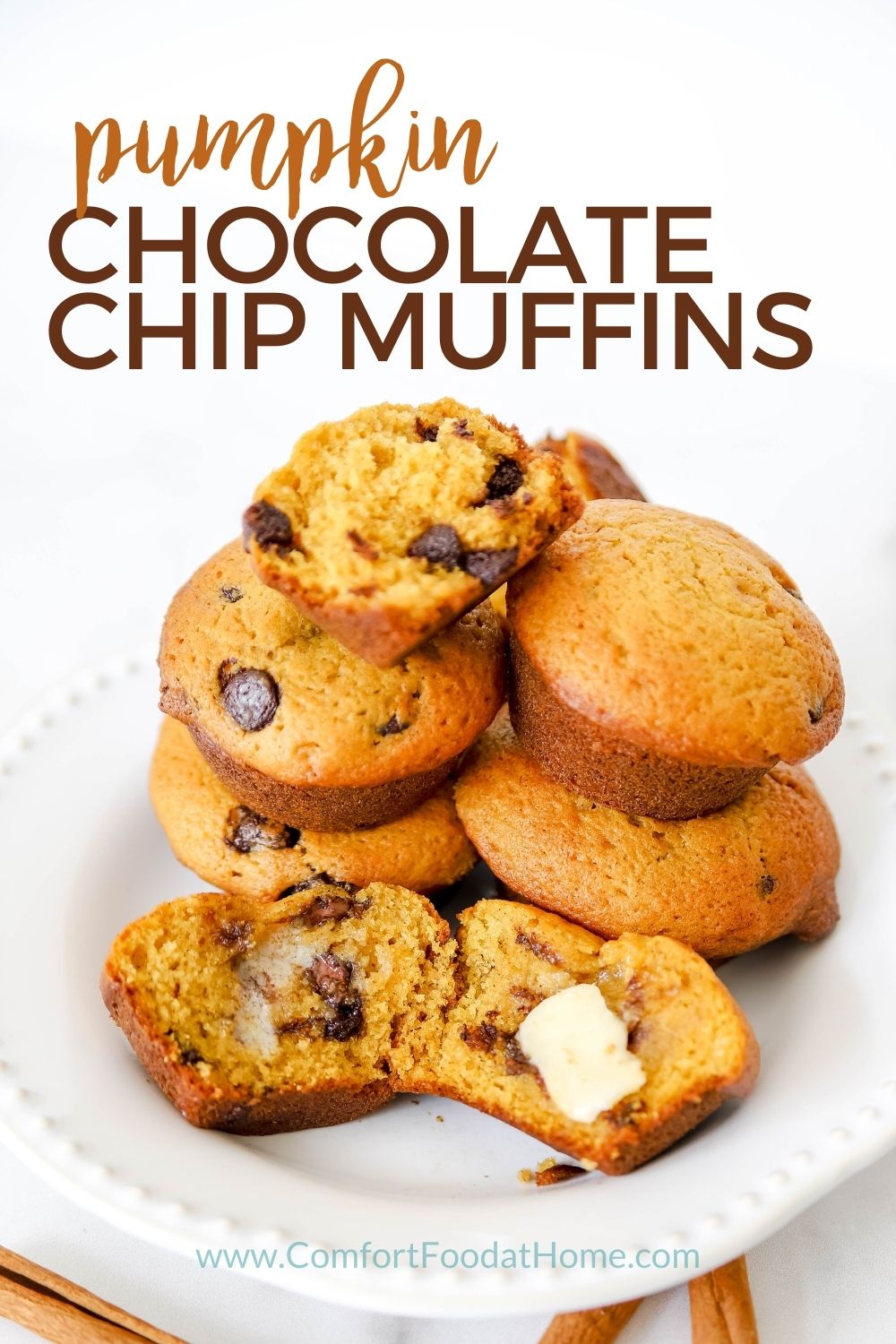 Pumpkin Chocolate Chip Muffin Recipe