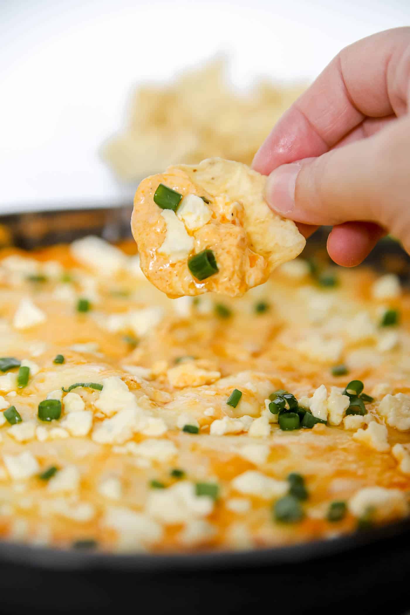 buffalo chicken dip