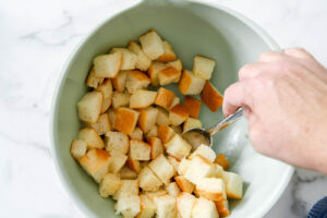 Combine melted butter, salt and garlic powder in a large mixing bowl and add the bread pieces. Toss to cover.