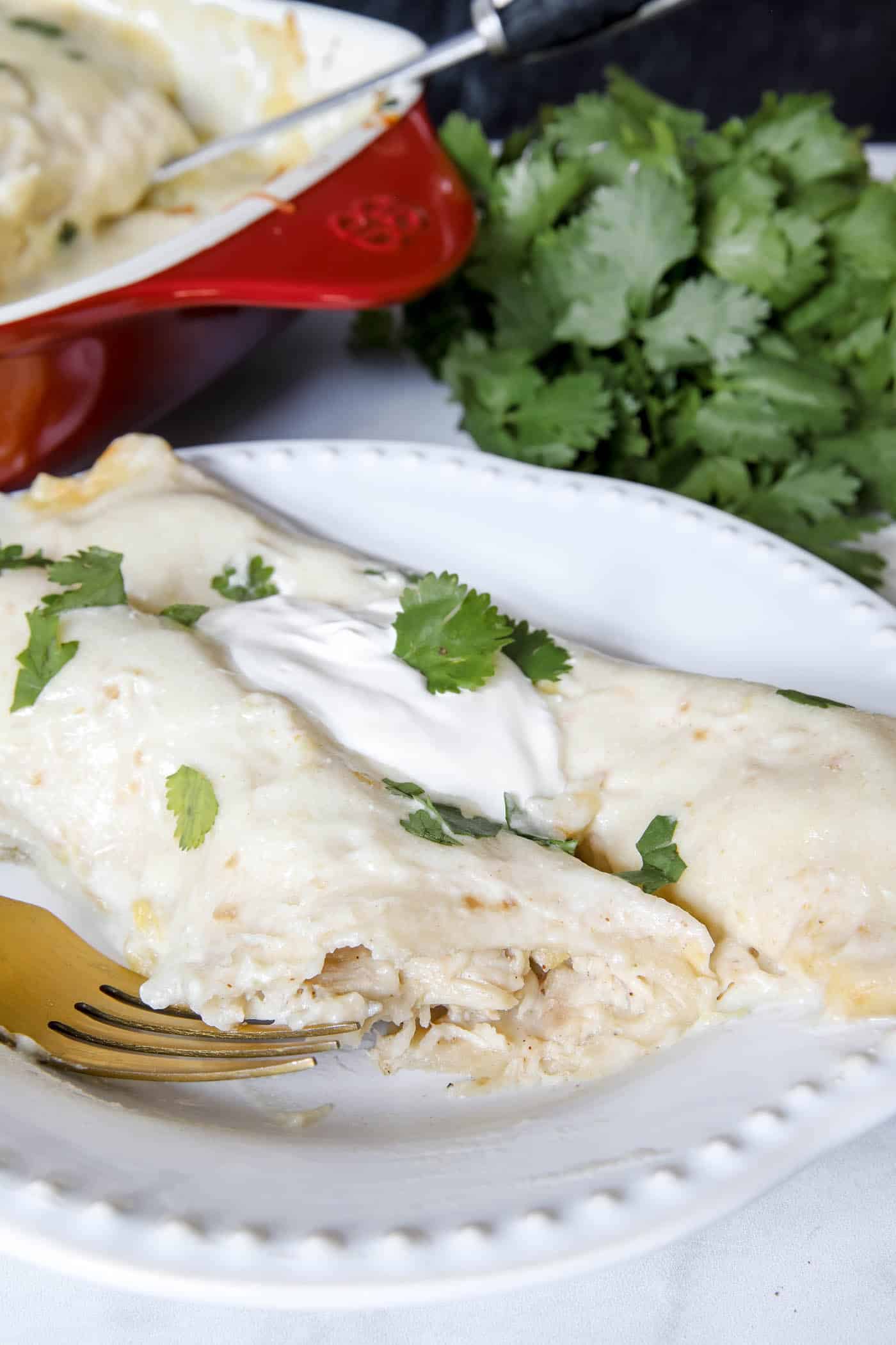 white chicken enchiladas