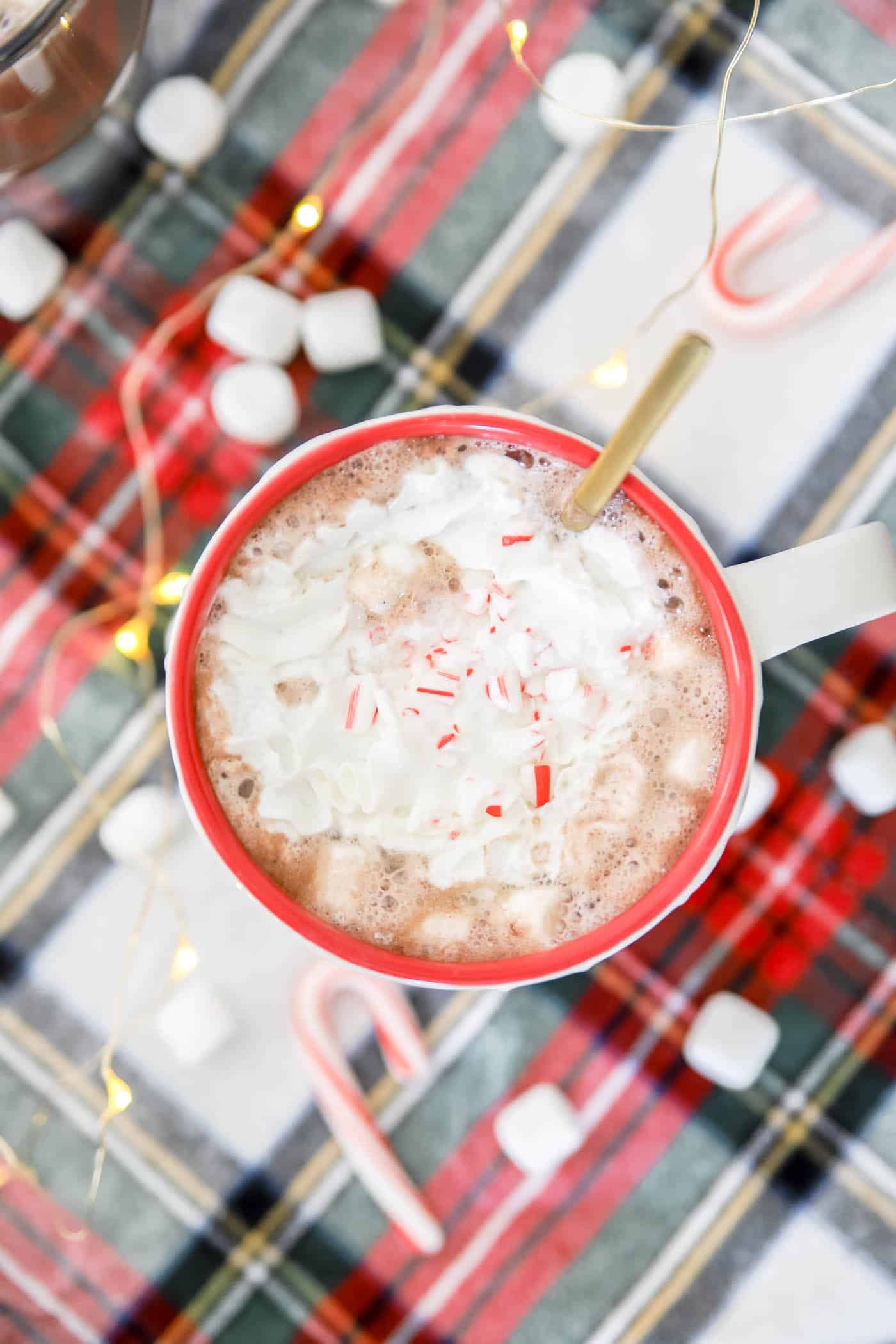 hot cocoa with whipped cream and pepermint sprinkles with twinkle lights in the background.