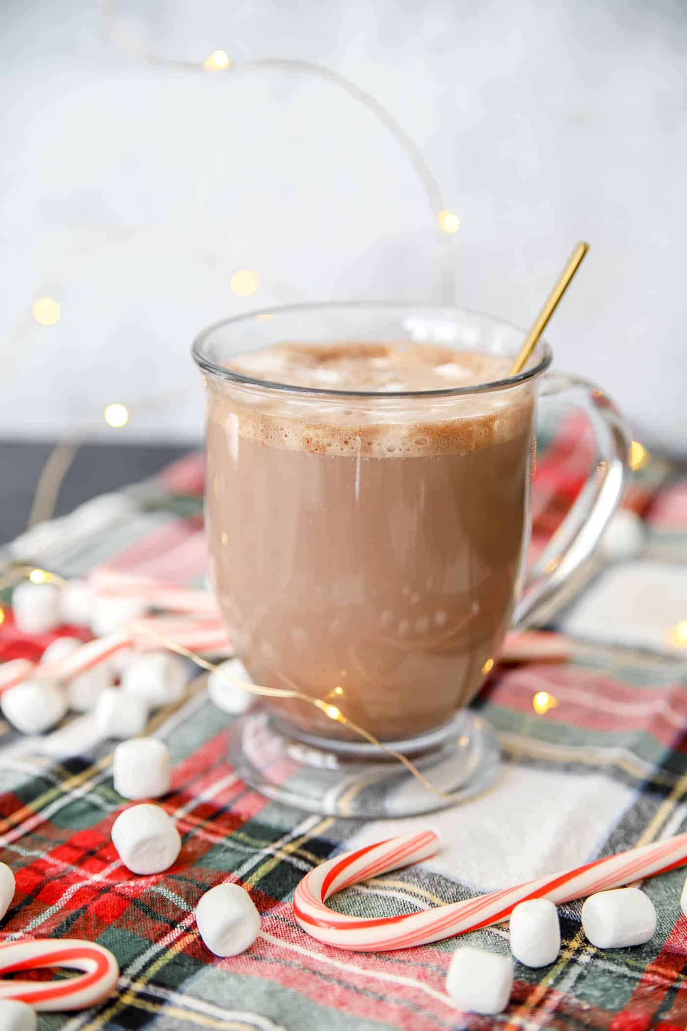 homemade hot chocolate mix with hot water