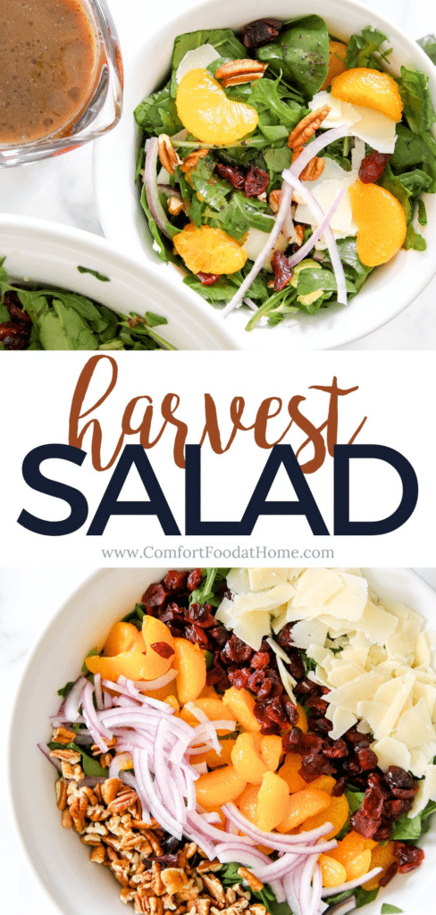 harvest salad with honey balsamic vinaigrette.