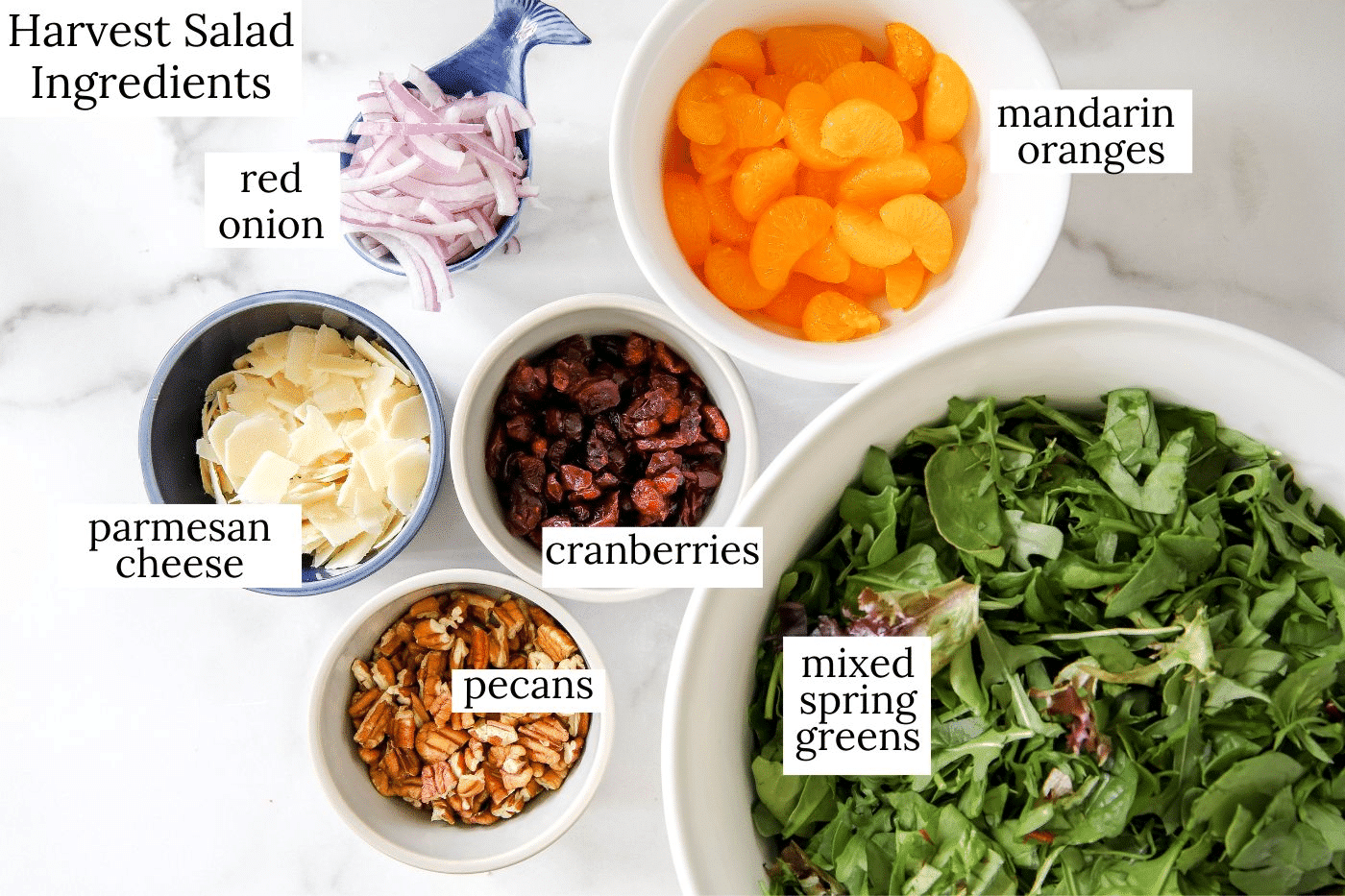 harvest salad ingredients