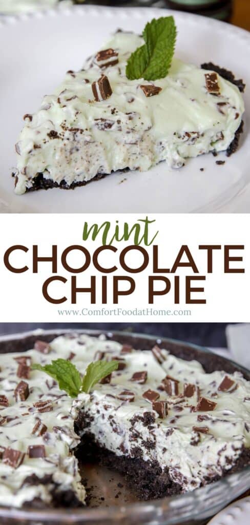 mint chocolate chip pie