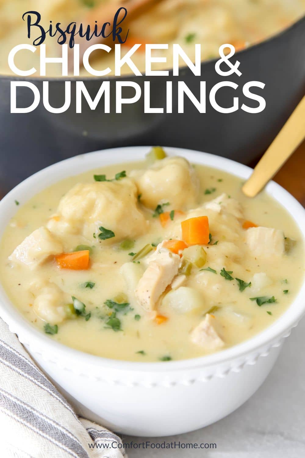 Bisquick chicken and dumplings recipe
