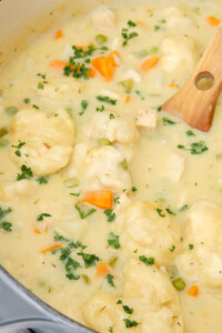 Bisquick chicken and dumplings