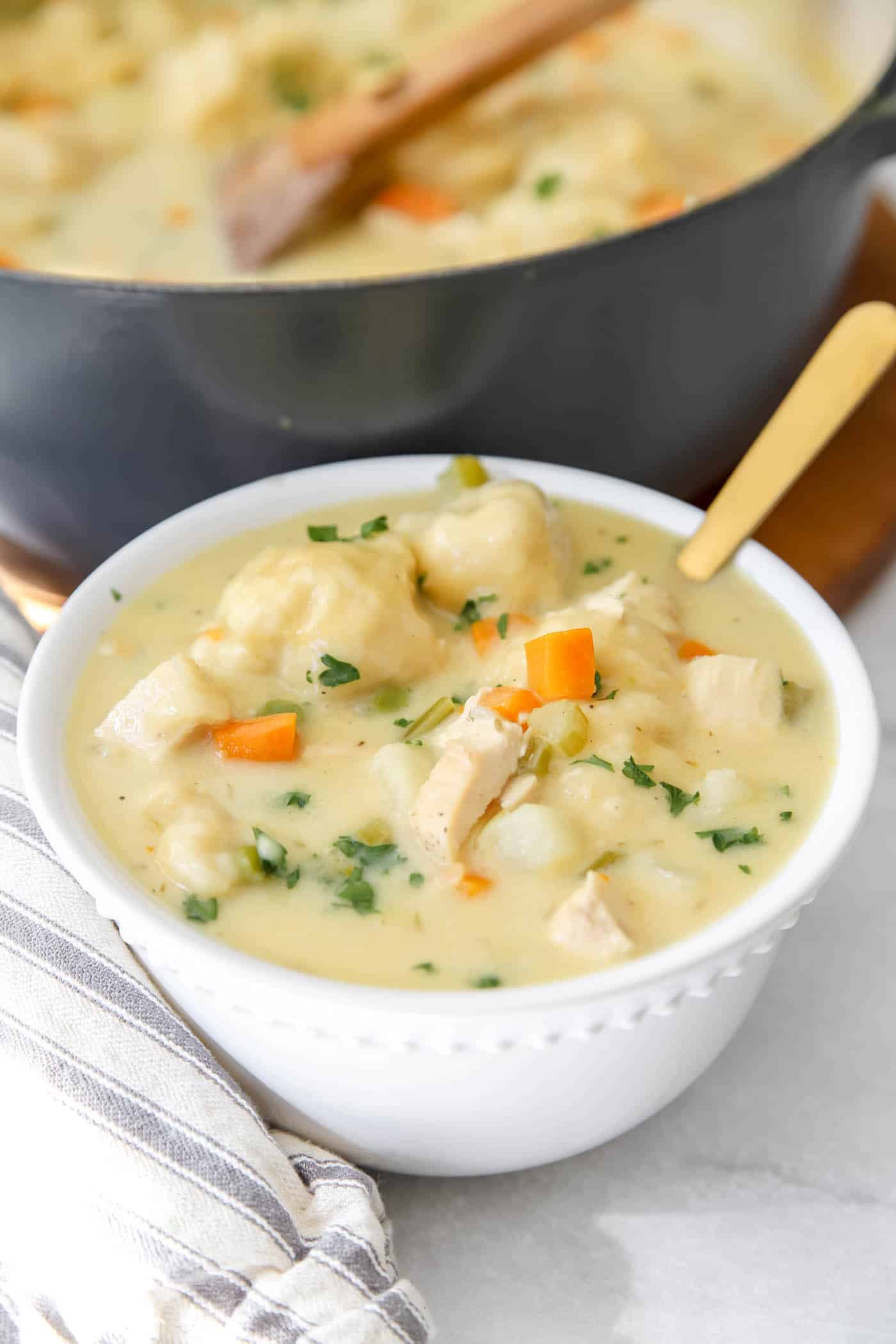 Bisquick Chicken and Dumplings